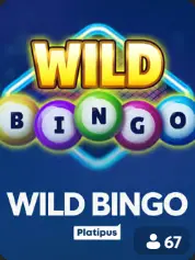 Wild Bingo BC Game Greece game cover